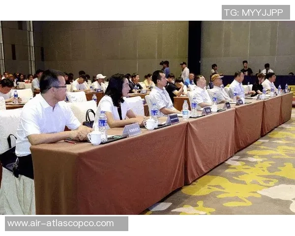 武汉乒乓球队的成功之道与运营模式深度解析